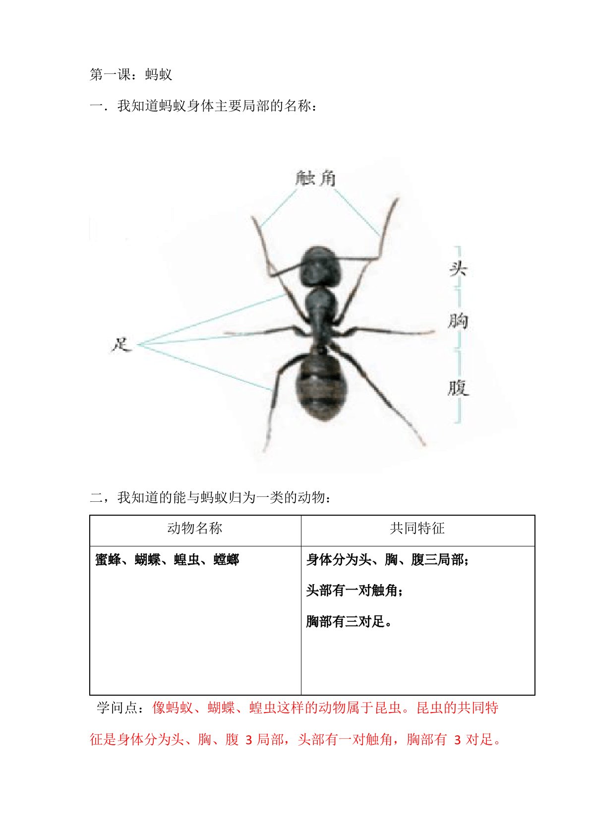 2023年青岛版小学《科学》六制四上活动手册第一单元答案