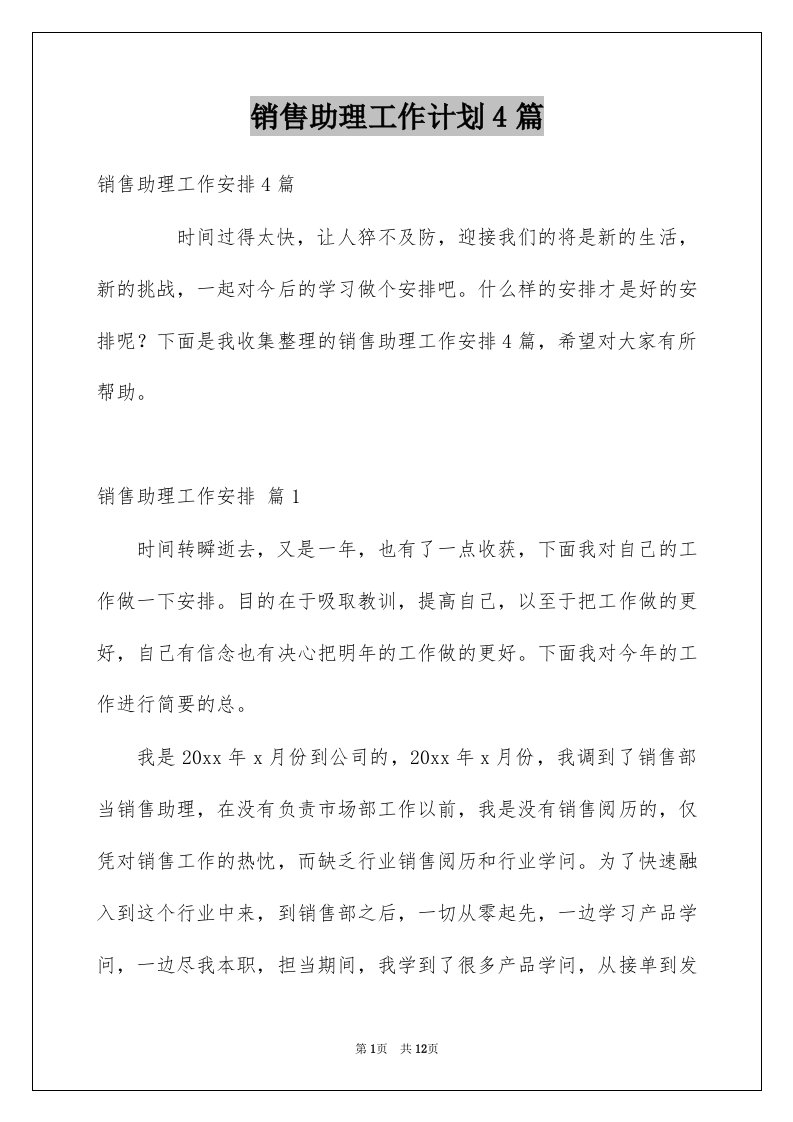 销售助理工作计划4篇例文