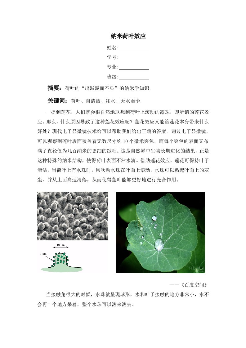 纳米荷叶效应