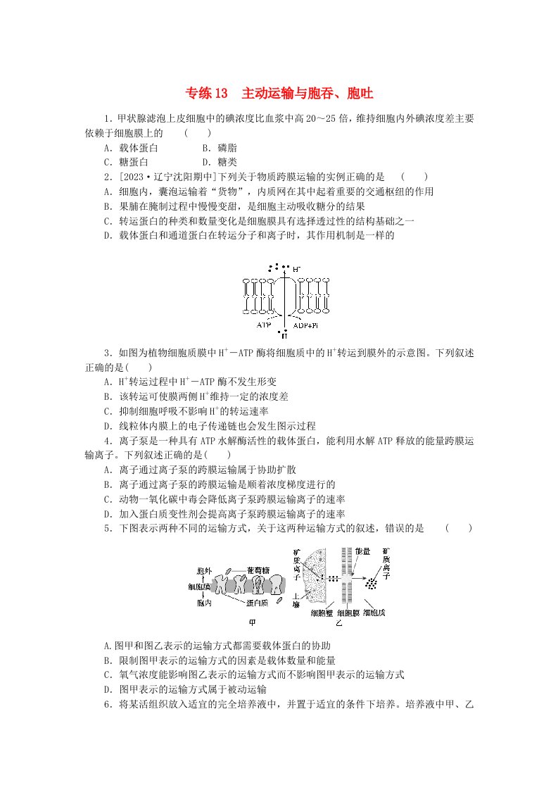 新高考2024版高考生物一轮复习微专题小练习专练13主动运输与胞吞胞吐