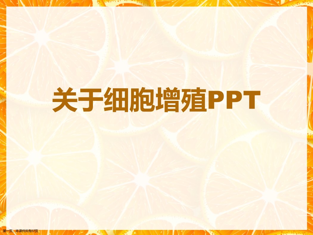 细胞增殖PPT课件