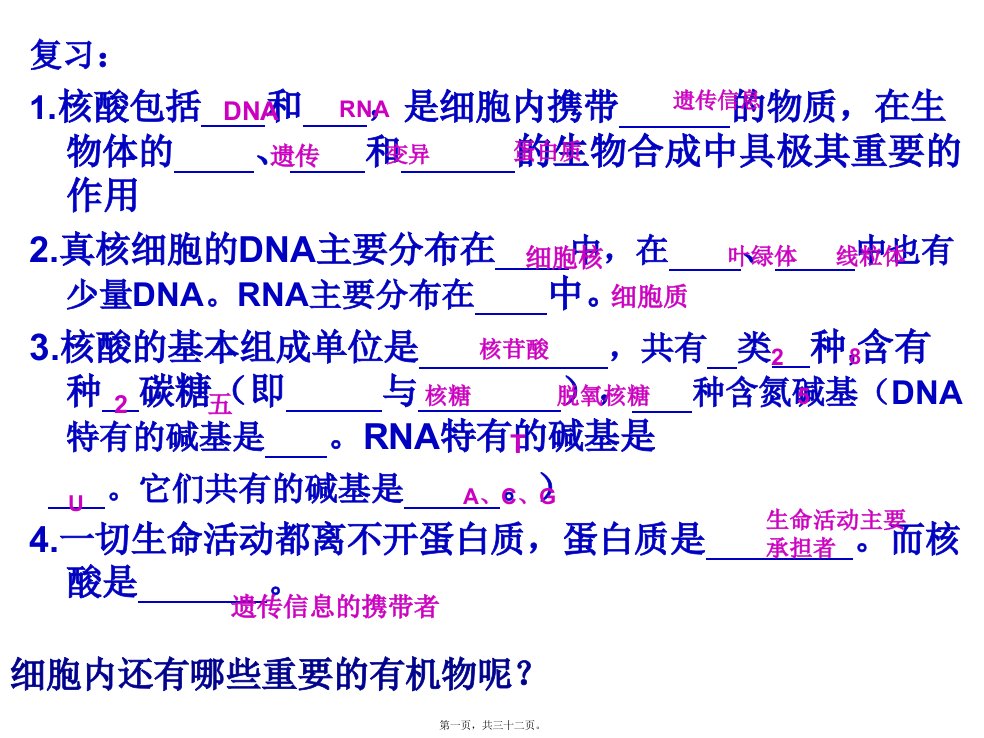 细胞中的糖类和脂质ppt