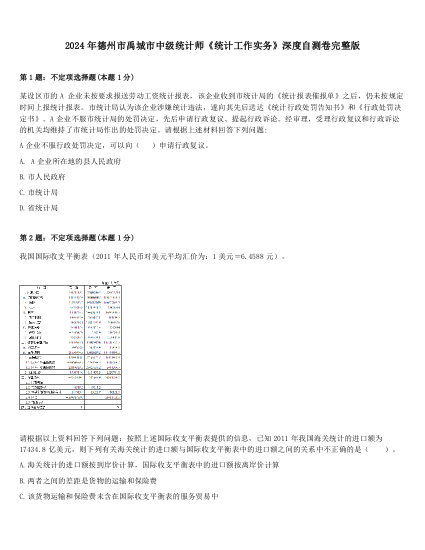 2024年德州市禹城市中级统计师《统计工作实务》深度自测卷完整版