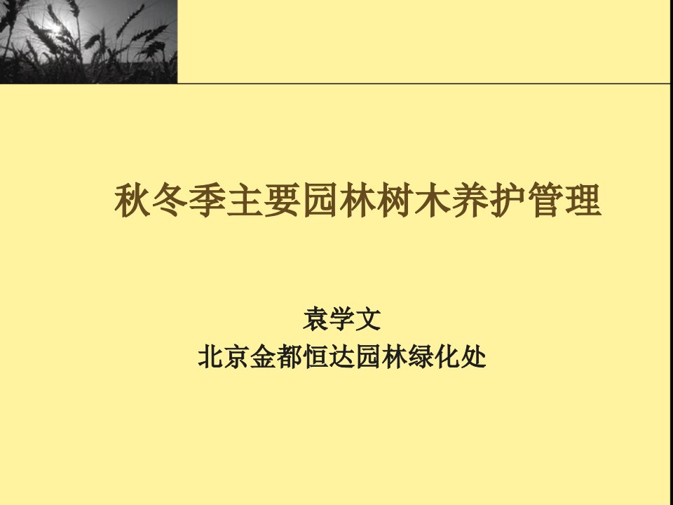 秋冬季主要园林树木养护管理课件