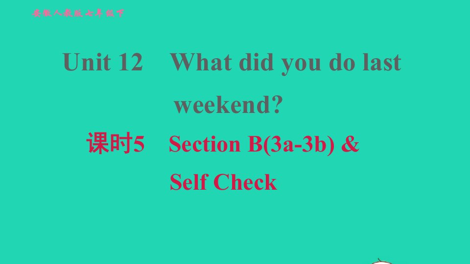 安徽专版2022春七年级英语下册Unit12Whatdidyoudolastweekend课时5SectionB3a－3bSelfCheck习题课件新版人教新目标版