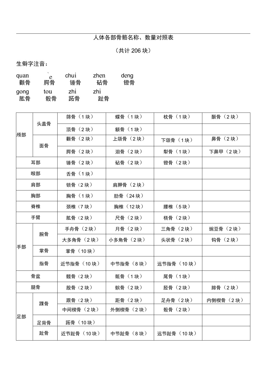 人体骨骼名称、数量对照表