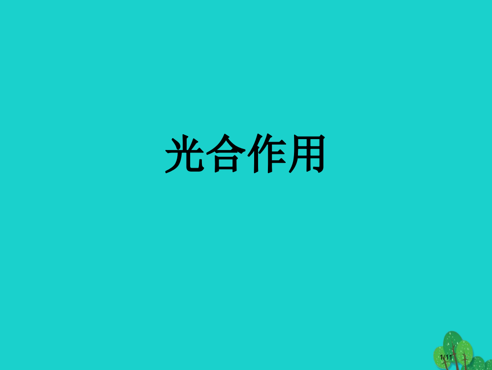 高中生物第一册第4章生命的物质变化和能量转换4.2光合作用4全国公开课一等奖百校联赛微课赛课特等奖P