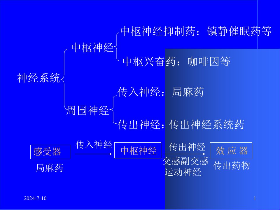 传出神经系统药理概论PPT47页