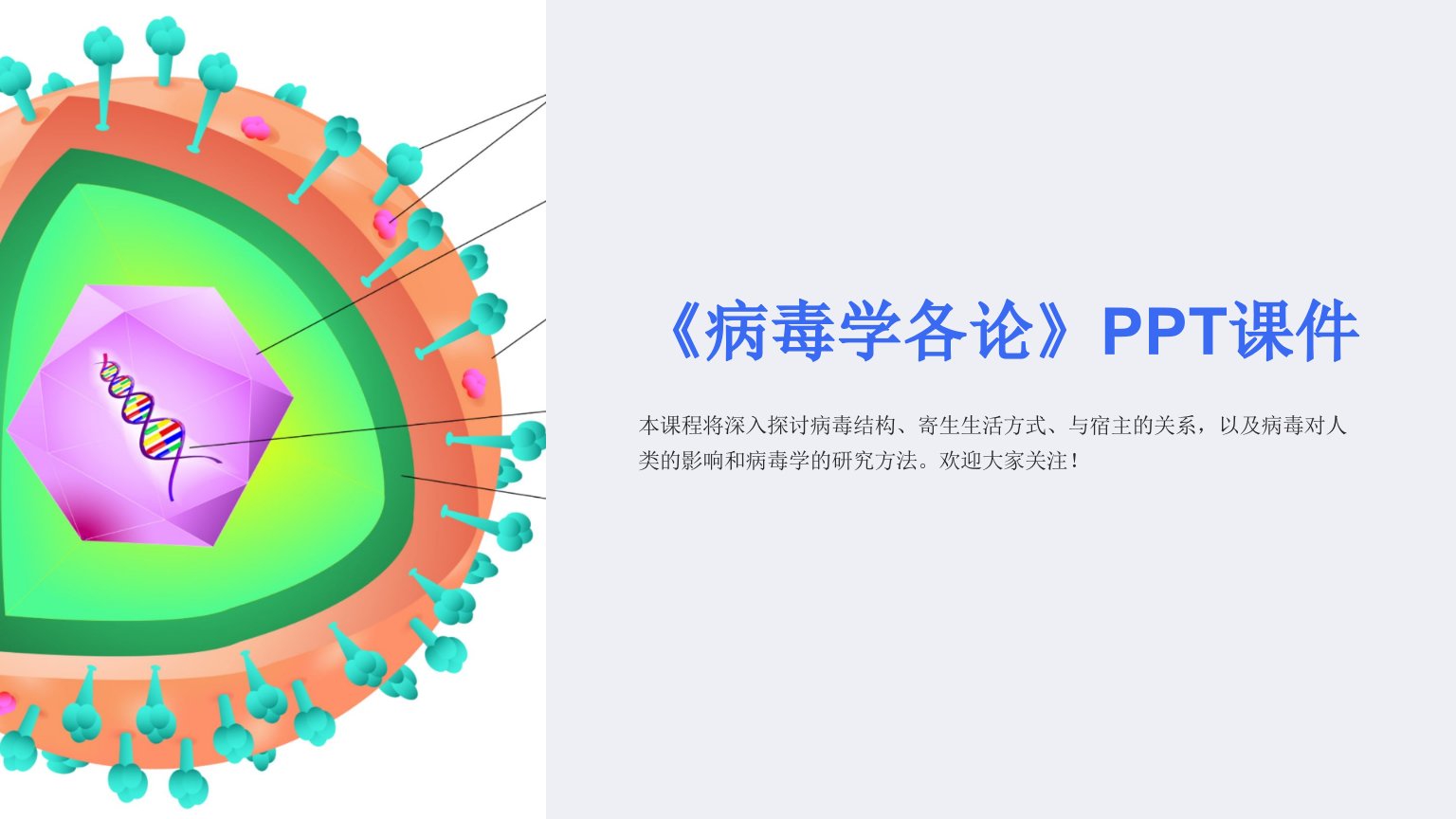 《病毒学各论》课件