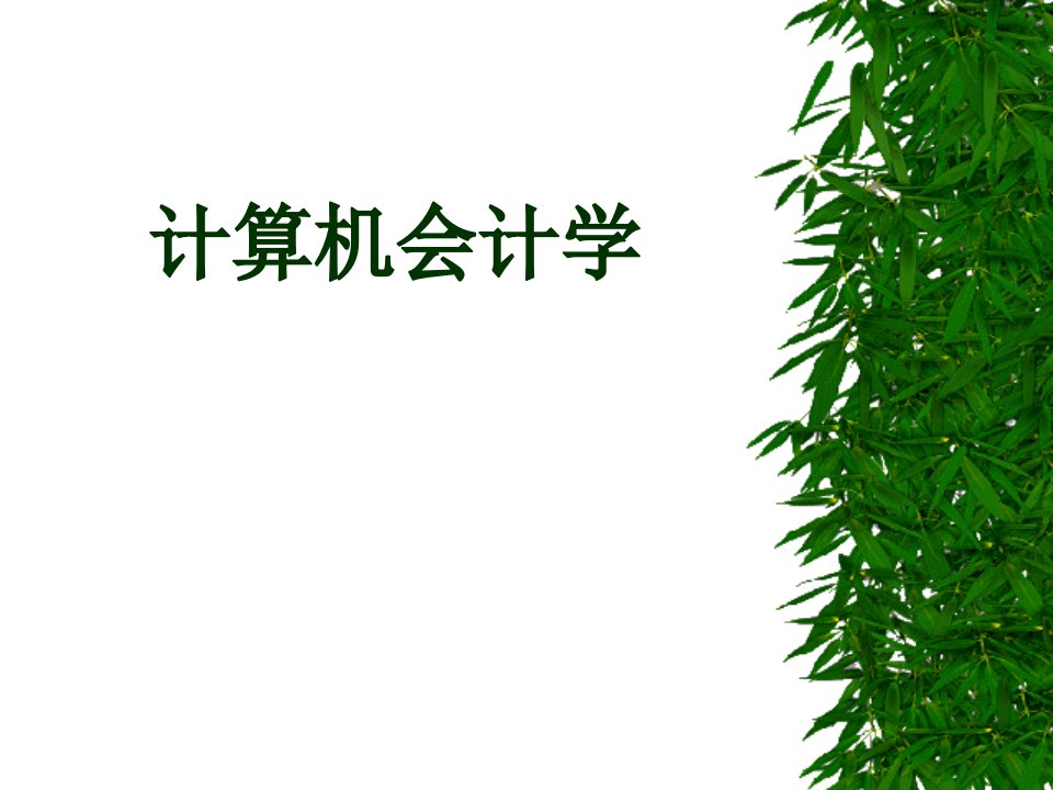 《计算机会计学》PPT课件