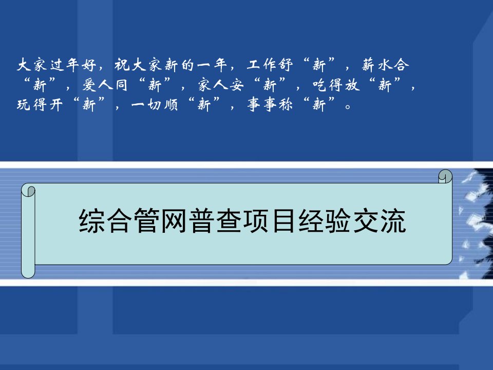 综合管网普查项目经验交流