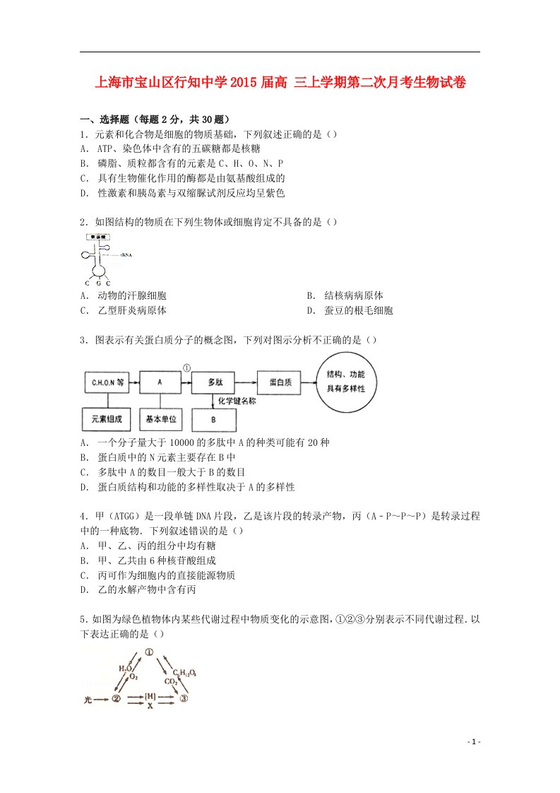 上海市宝山区行知中学高三生物上学期第二次月考试卷（含解析）