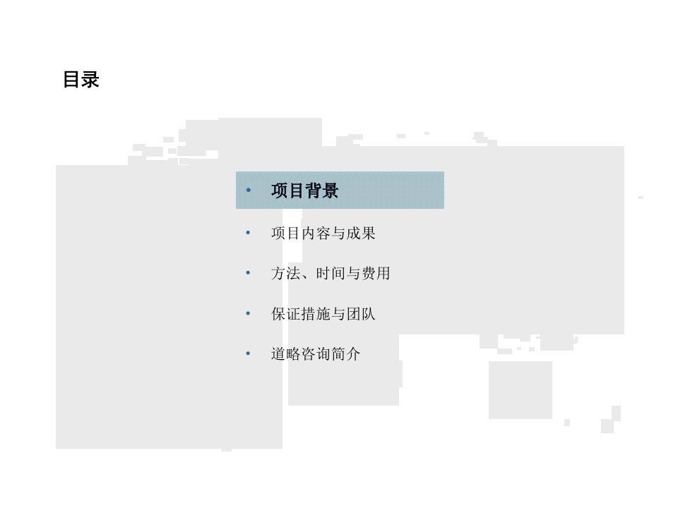 某咨询公司项目管理研究书