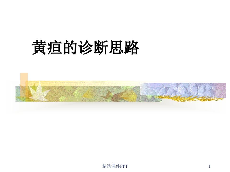 黄疸诊断思路ppt课件