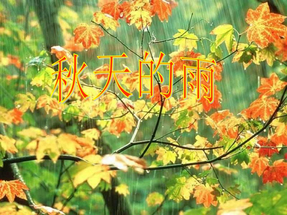 三年级《秋天的雨》课件