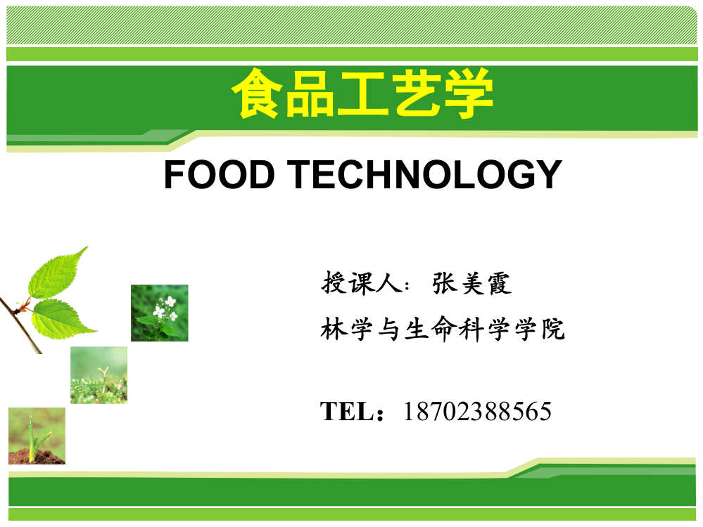 食品工艺学课件(PPT