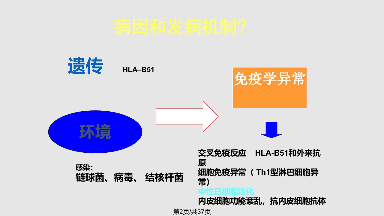 白塞病学习教程