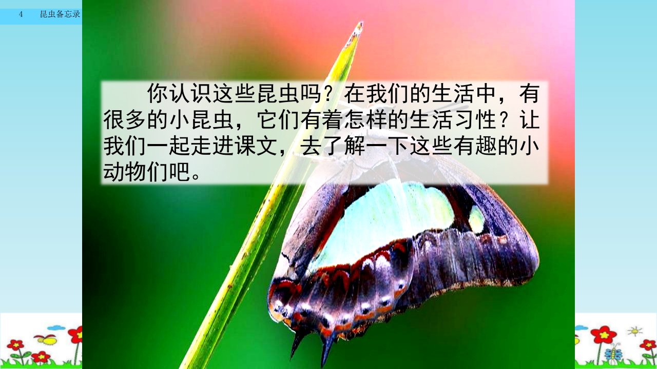 《昆虫备忘录》PPT课件