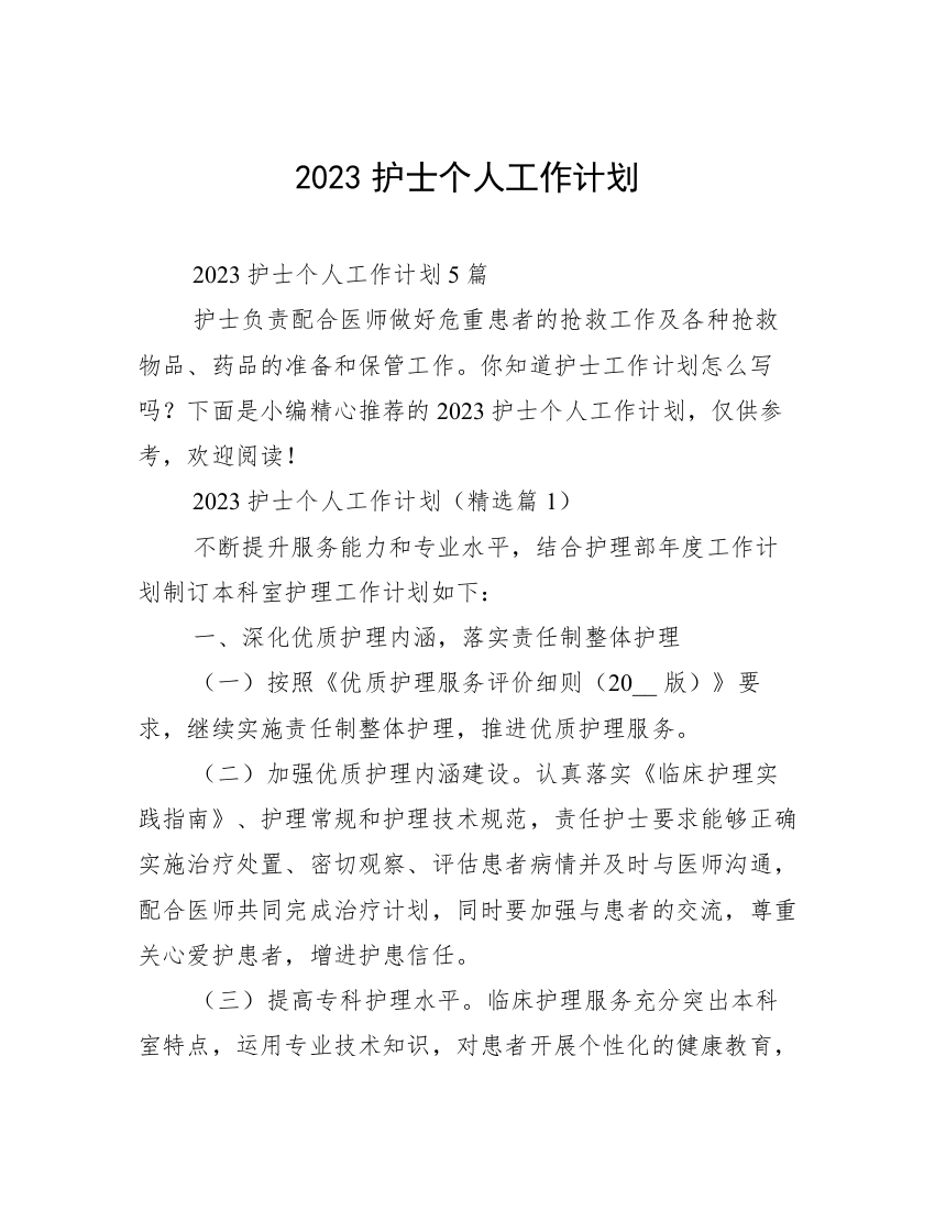 2023护士个人工作计划