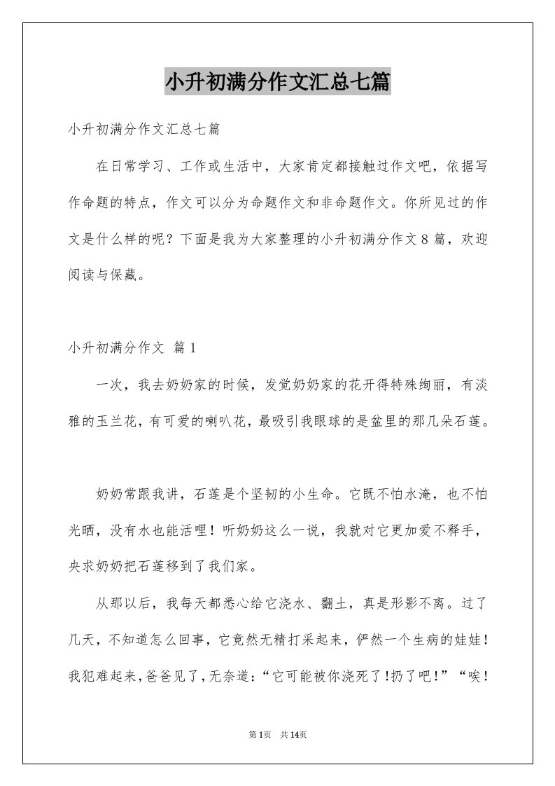 小升初满分作文汇总七篇精品