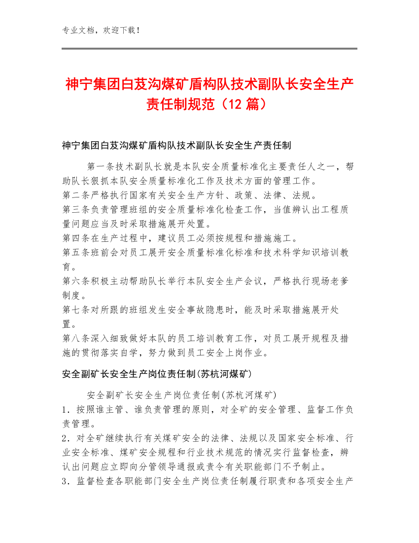 神宁集团白芨沟煤矿盾构队技术副队长安全生产责任制规范（12篇）