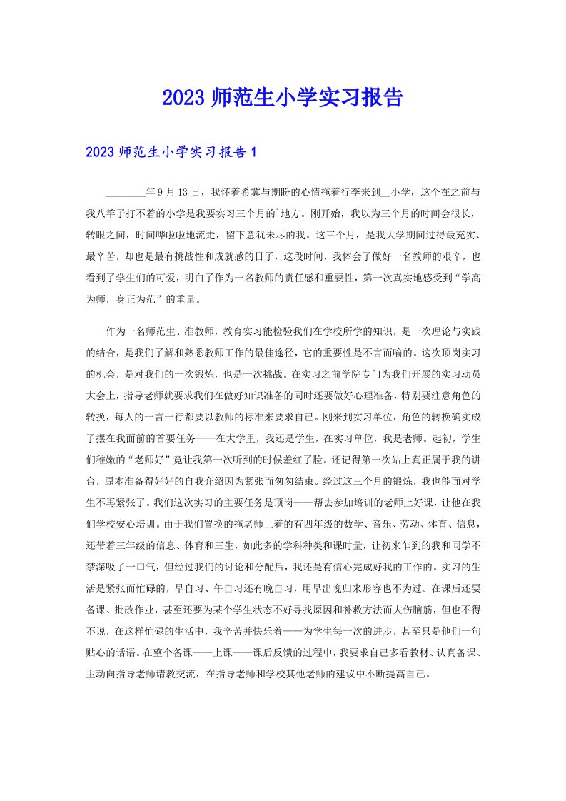 2023师范生小学实习报告