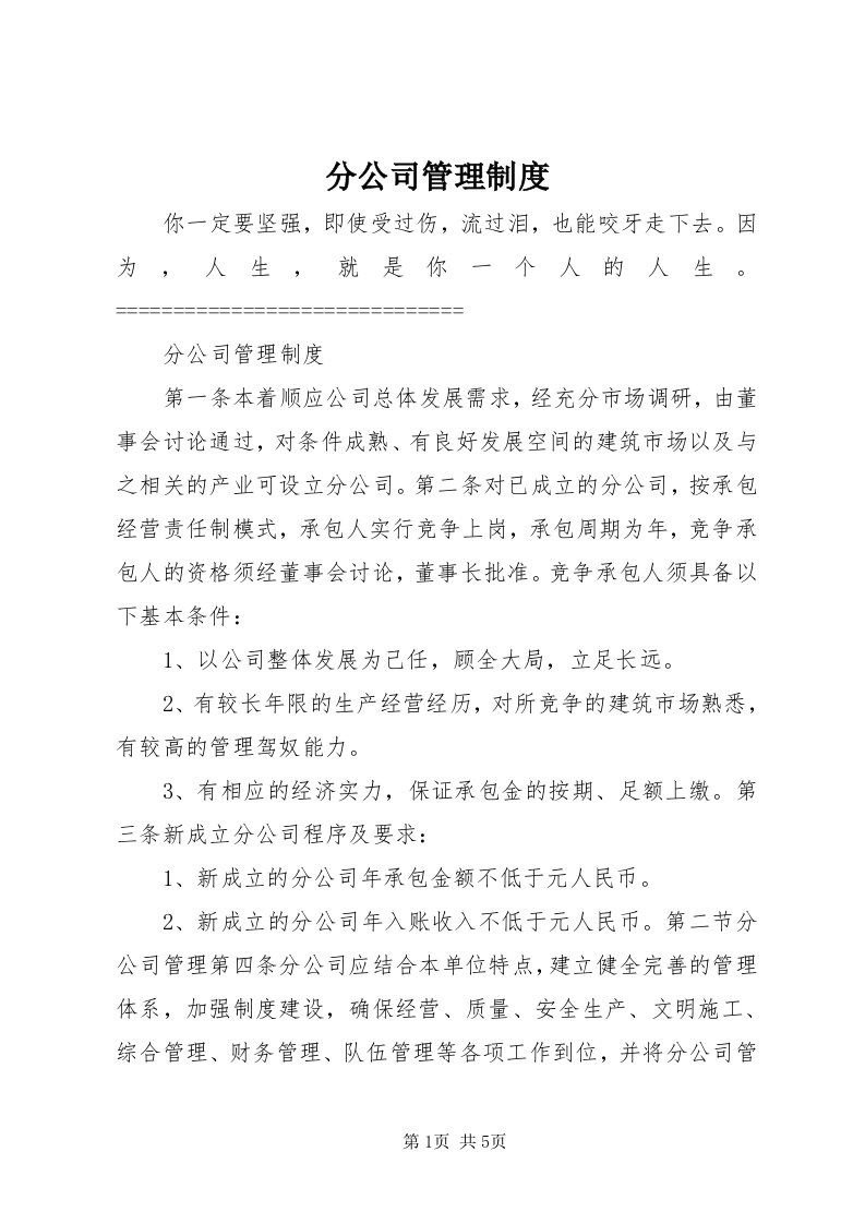 分公司管理制度