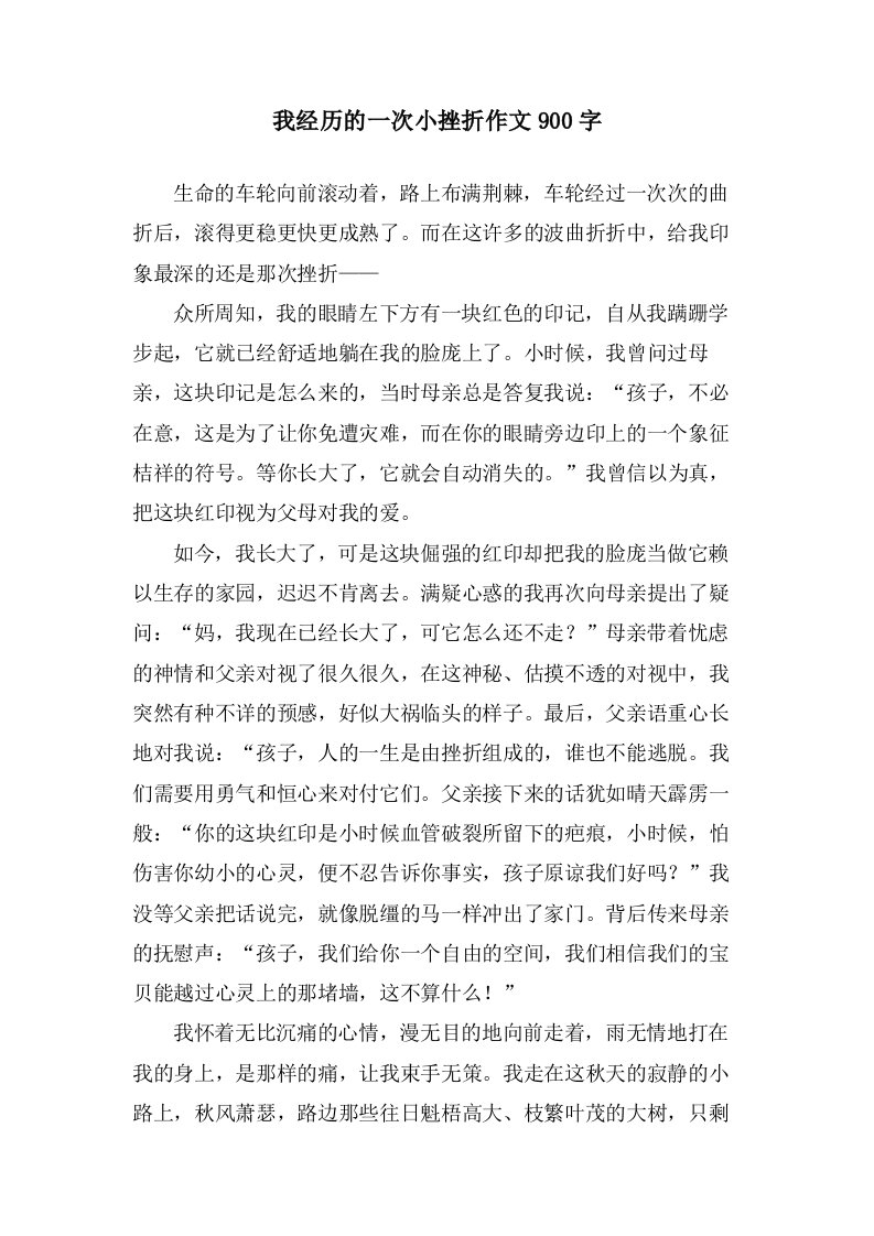 我经历的一次小挫折作文900字