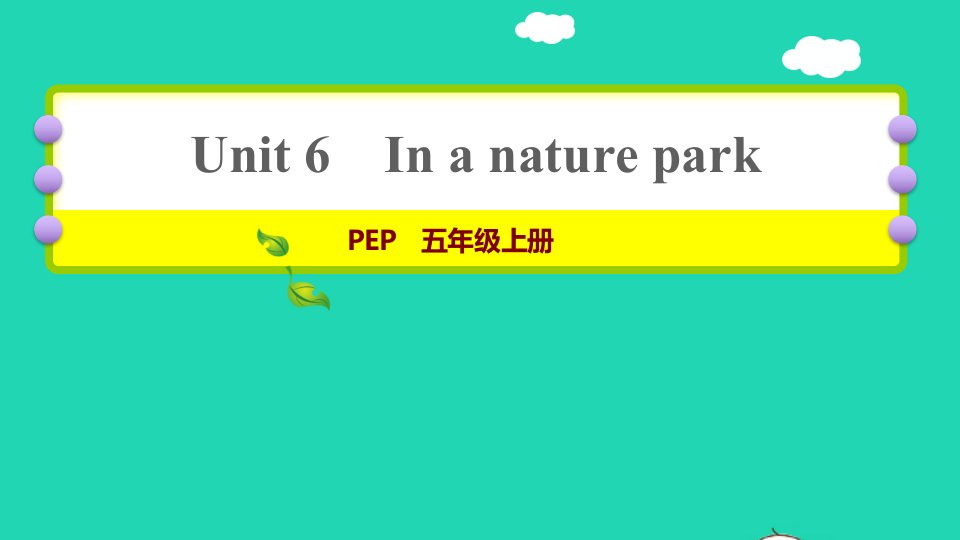 2021秋五年级英语上册Unit6Inanaturepark课时6Readandwrite_Let’swrapitup习题课件人教PEP