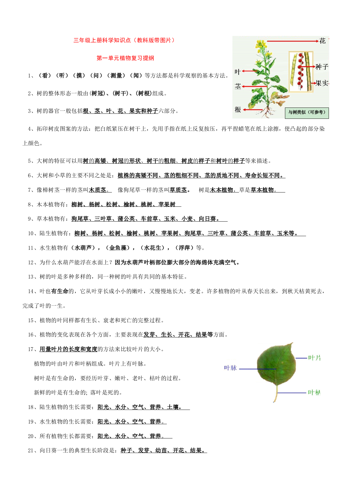 三年级上册科学知识点教科版带图片