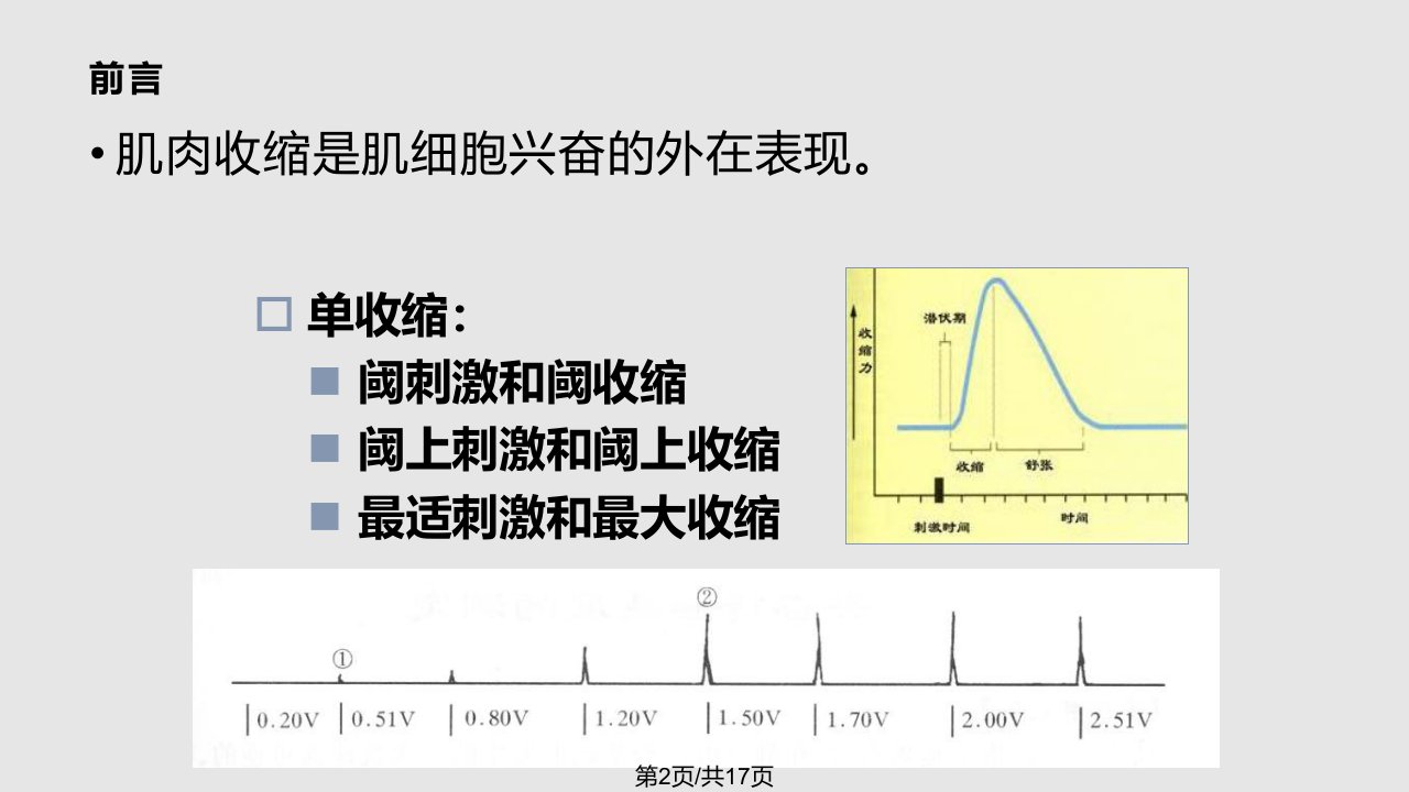 骨骼肌收缩学习