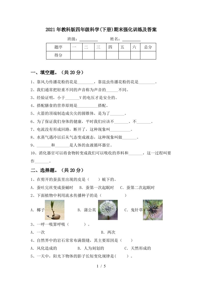 2021年教科版四年级科学下册期末强化训练及答案