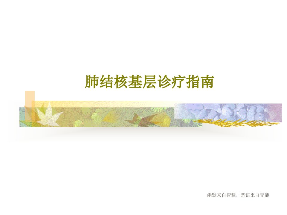 肺结核基层诊疗指南PPT文档共50页