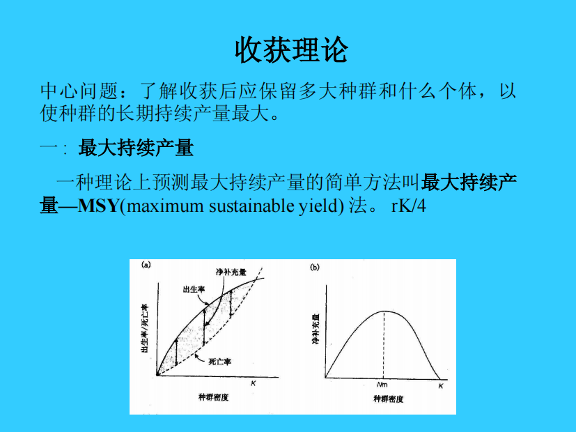 【基础生态学课件@北师大】15_4收获理论