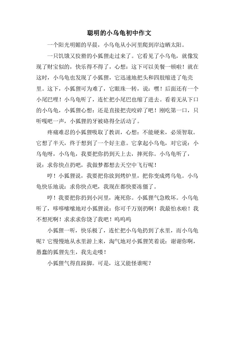 聪明的小乌龟初中作文