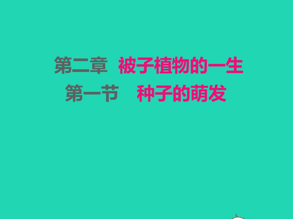 2022七年级生物上册第三单元生物圈中的绿色植物第二章被子植物的一生第1节种子的萌发课件新版新人教版