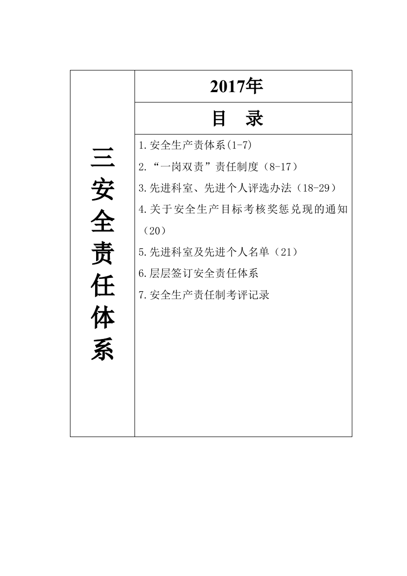 3、安全责任体系(DOC45页)