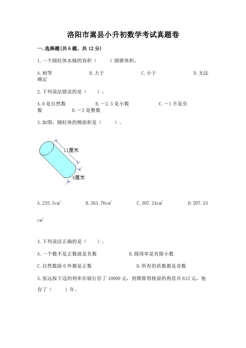 洛阳市嵩县小升初数学考试真题卷新版