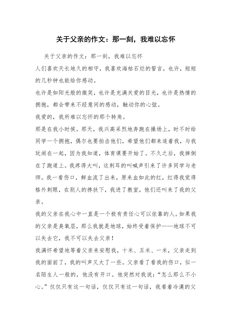 关于父亲的作文：那一刻，我难以忘怀