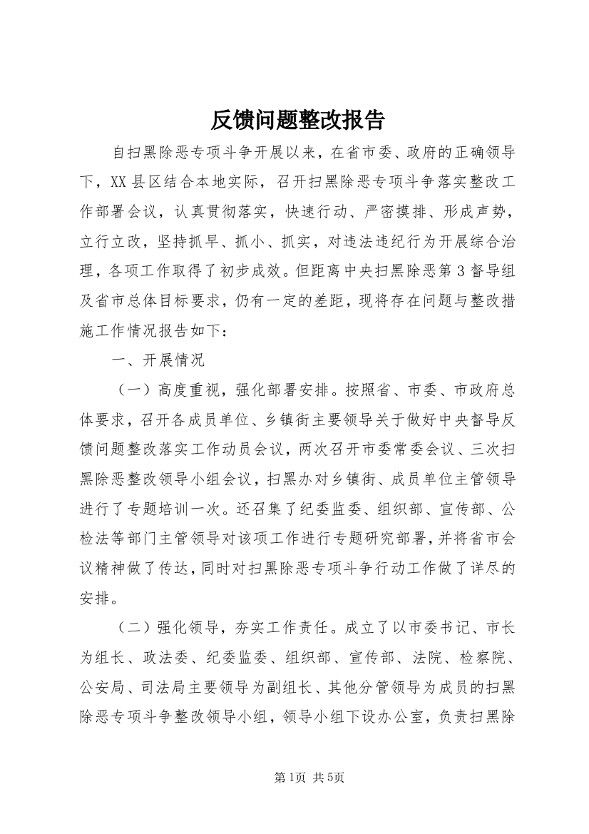 反馈问题整改报告