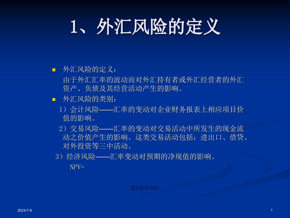 武汉大学金融工程学外汇风险管理