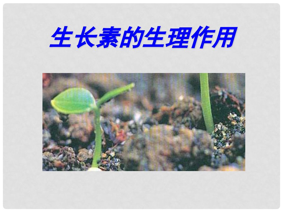 云南省峨山彝族自治县高中生物