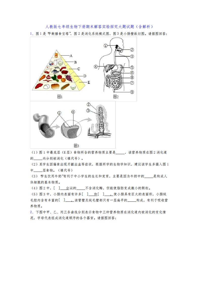 人教版七年级生物下册期末解答实验探究大题试题(含解析)