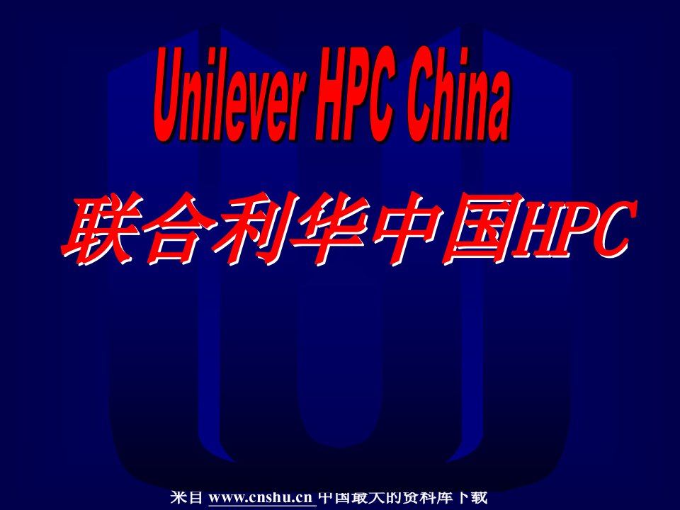 销售策略--联合利华中国销售策略(PPT