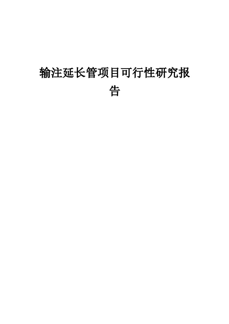 2024年输注延长管项目可行性研究报告