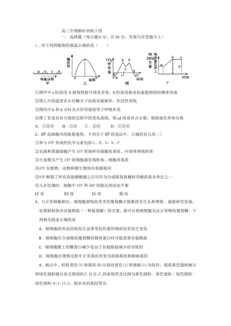 高三生物限时训练十四