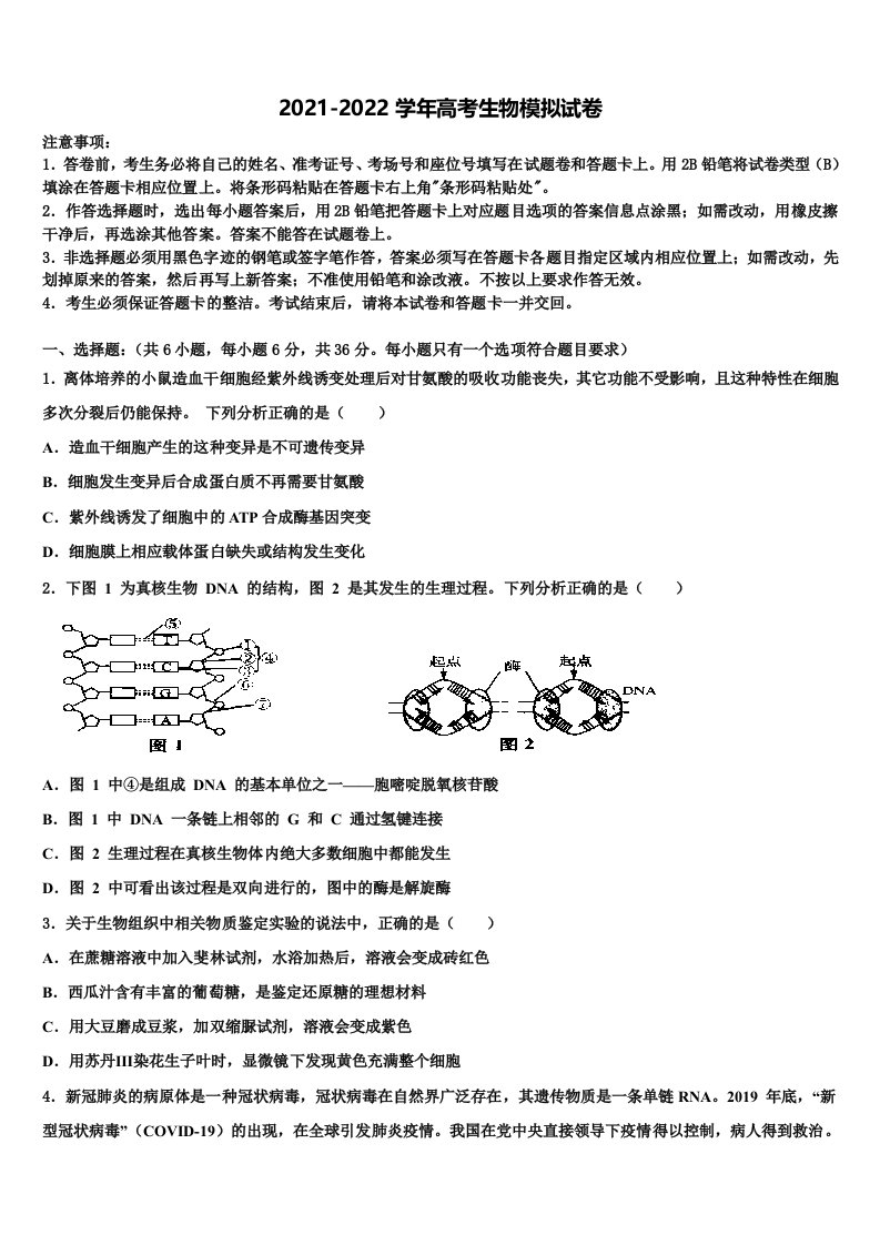 山东省郓城一中2022年高三最后一模生物试题含解析