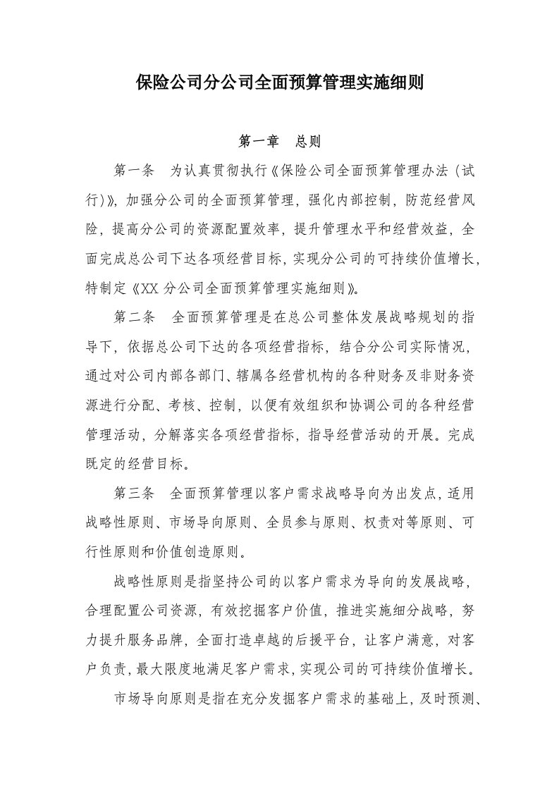 保险公司全面预算管理实施细则