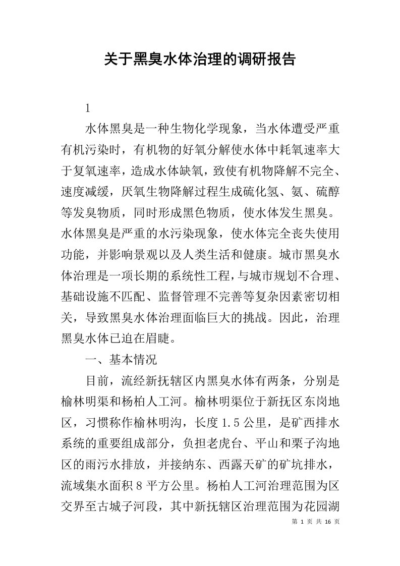 关于黑臭水体治理的调研报告