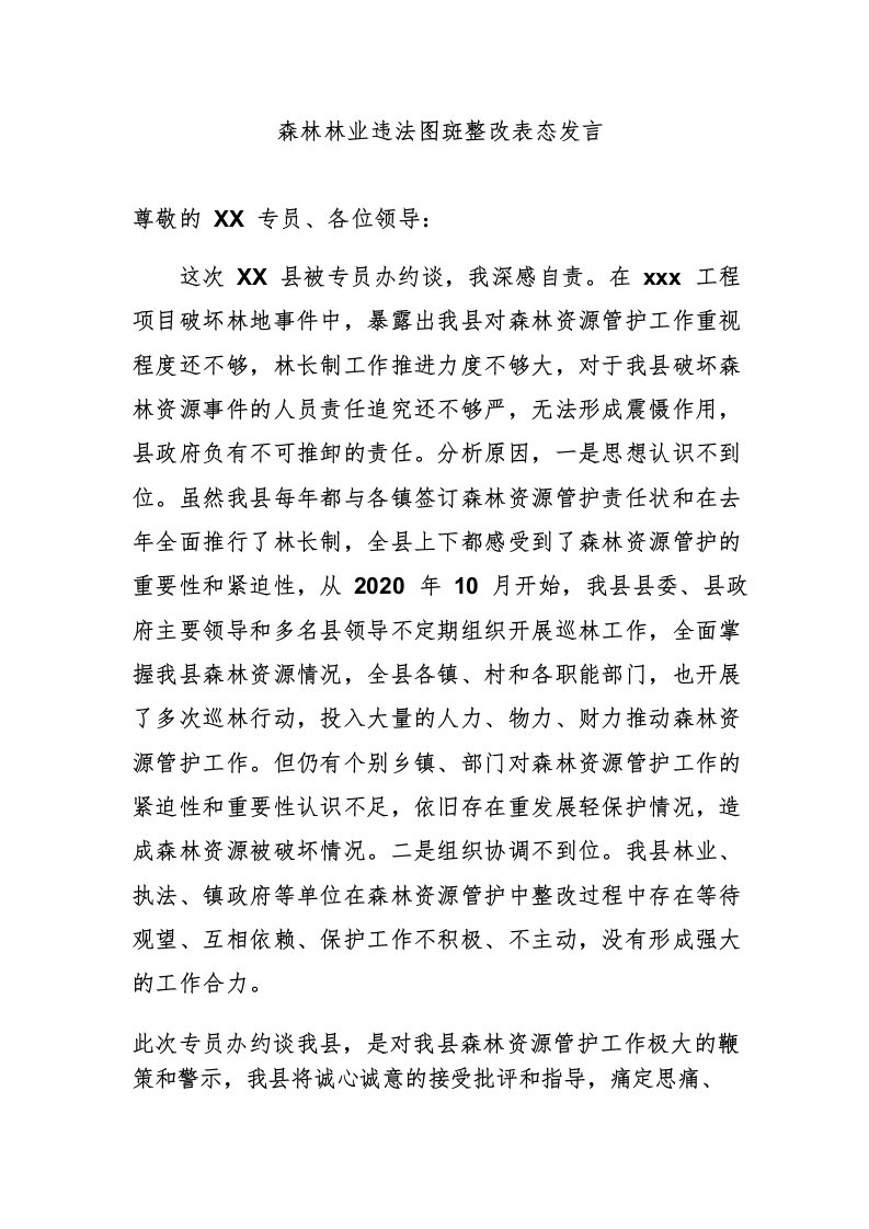 森林林业图斑整改表态发言